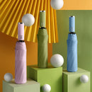 Guarda-Chuva Automático - Blackout | Resistência e Proteção Premium